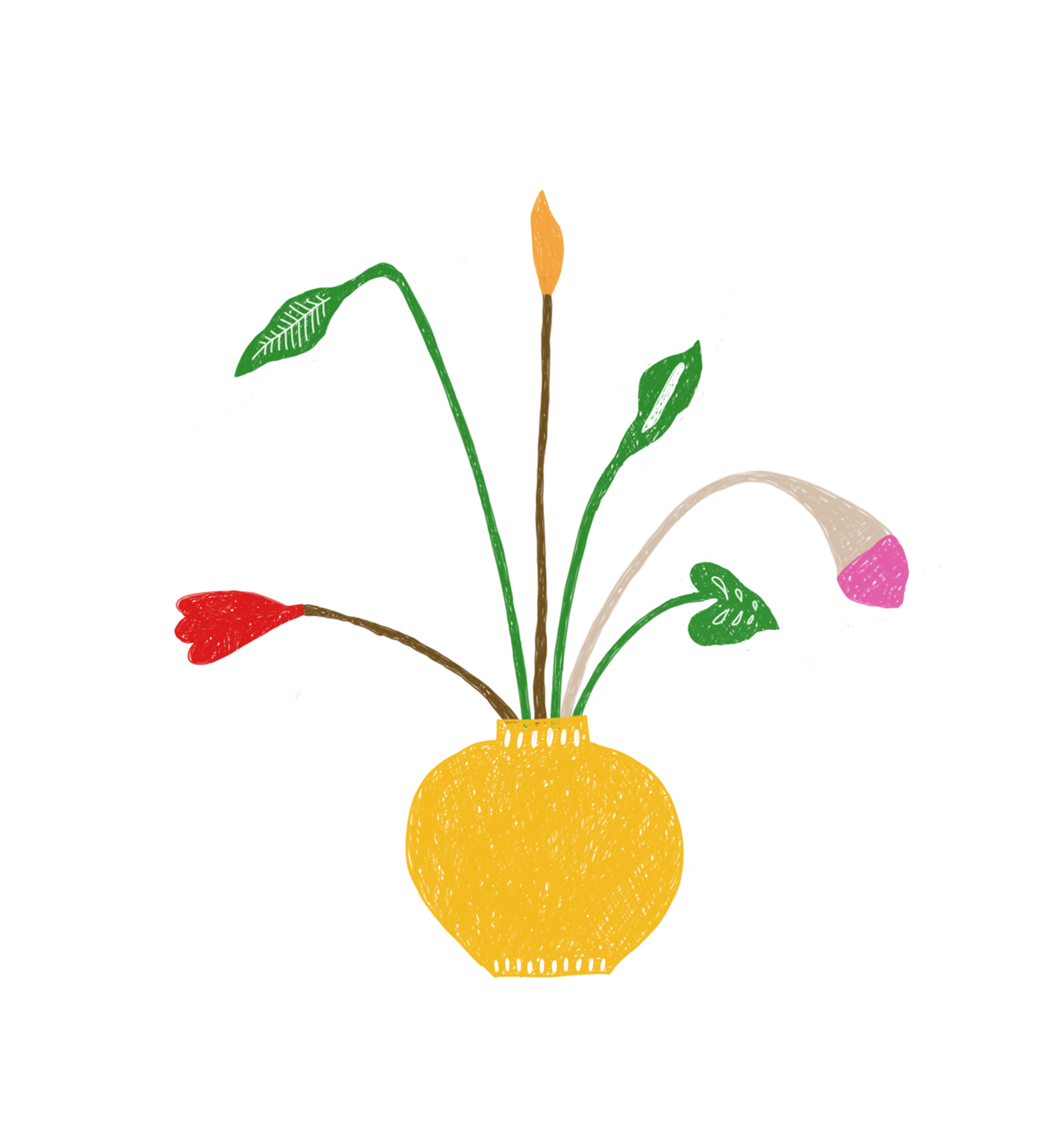 Urja's plant, growth stage 1 of 4